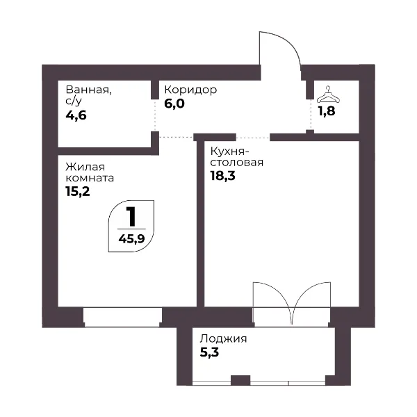 Комната + Кухня-столовая 45.5 кв.м.